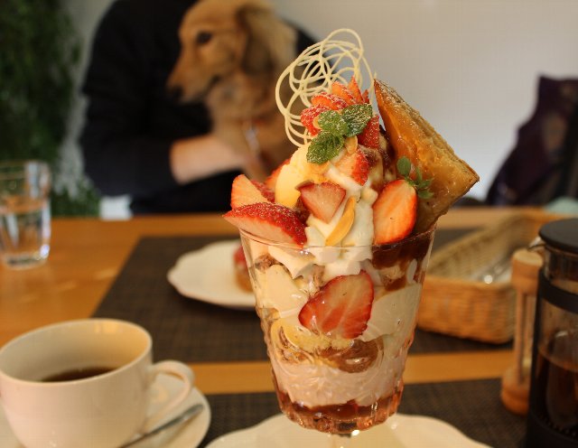 愛犬とゆったり過ごすことができる軽井沢のカフェ「at Terrace」