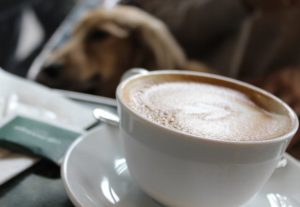 代官山の店内全エリア犬okなレストラン カフェ ミケランジェロ の食事はどう