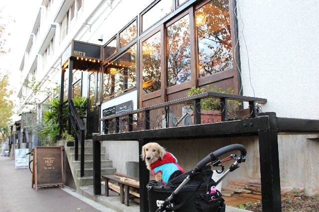 室内で犬と一緒に食事できる目黒川沿いのレストラン「HUIT(ユイット)」
