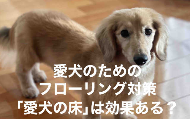 愛犬がフローリングで滑ってしまうのが心配の方へ 愛犬の床