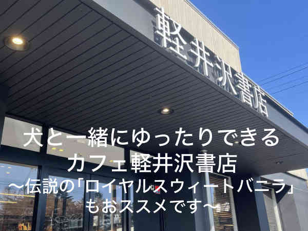 軽井沢で犬と一緒にくつろぎながらカフェを楽しみたいあなたへ 軽井沢書店