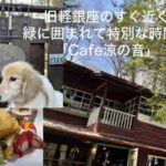 旧軽井沢Cafe涼の音トップ