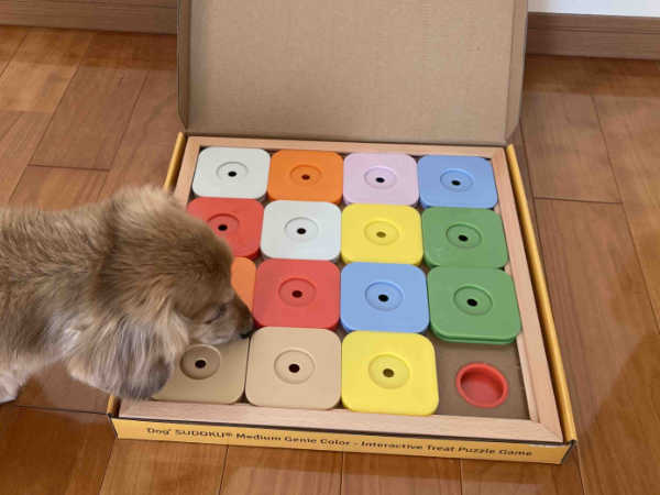 犬の知育玩具「DOG'S SUDOKU」写真1