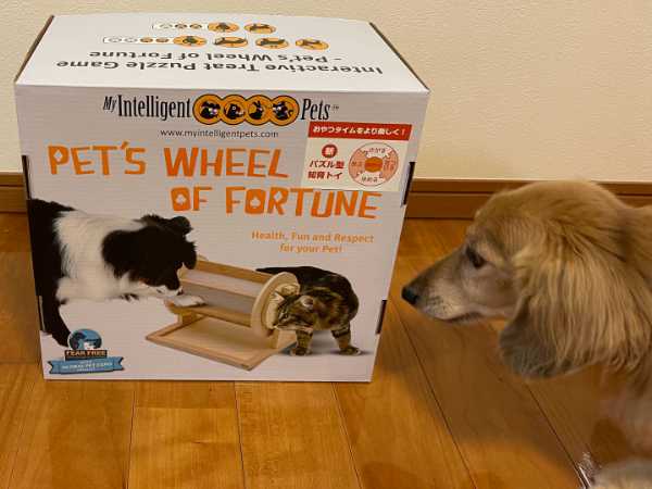 犬の知育玩具「Wheel of Fortune」化粧箱
