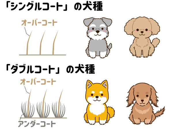 犬の被毛の種類