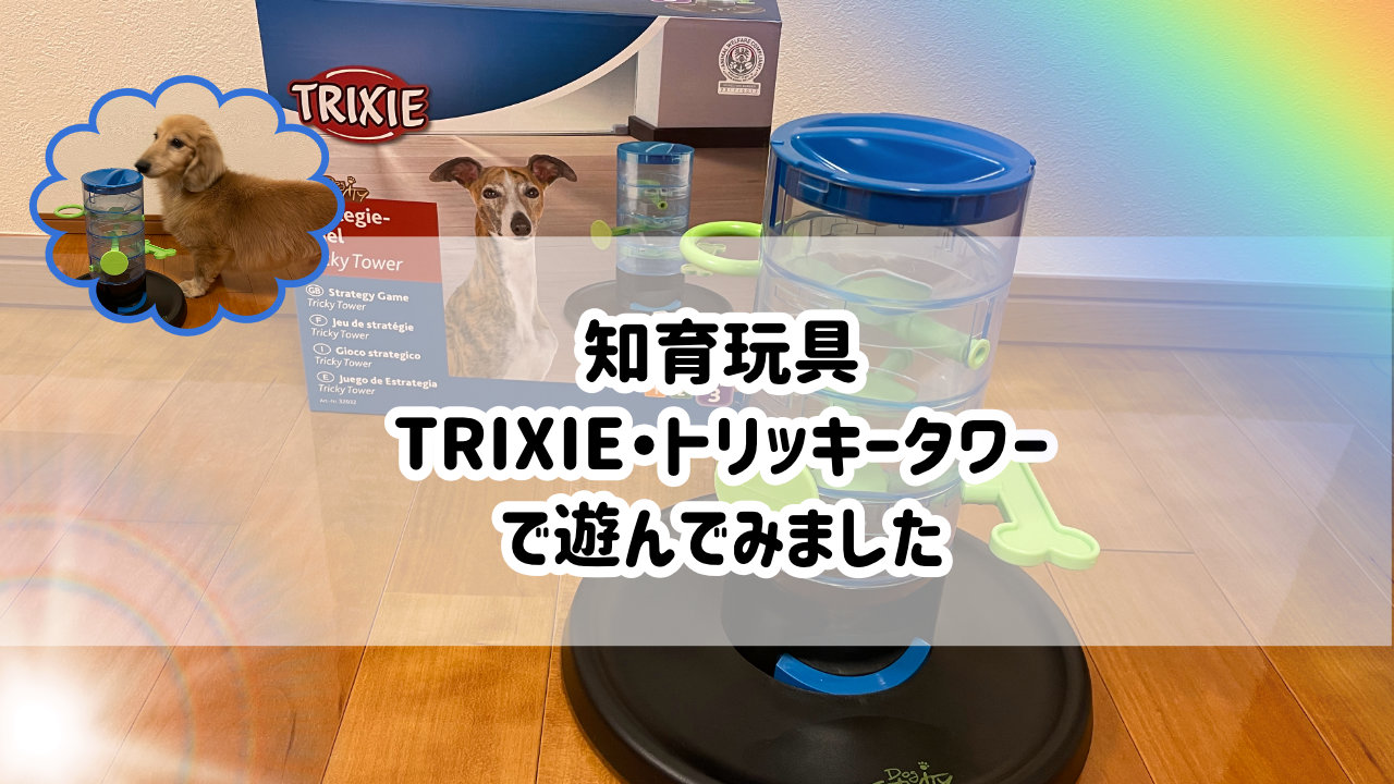 犬用の知育玩具TRIXIE（トリクシー）・トリッキータワーで遊んでみました