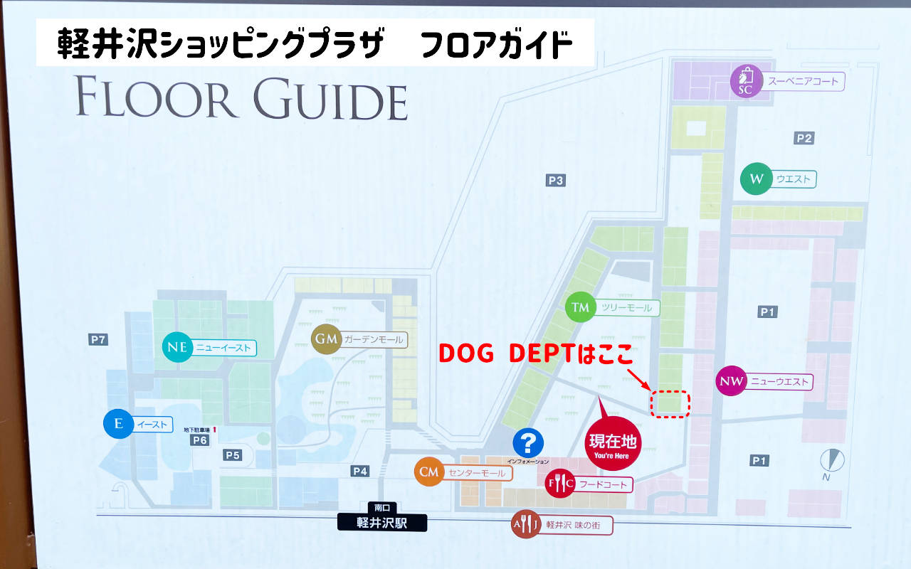 軽井沢ショッピングプラザ犬OKなレストラン_サクレフルール_DOG DEPT_map