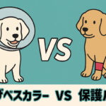 エリザベスカラーだけじゃない！保護バンドの選びかた_タイトル
