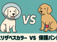 エリザベスカラーだけじゃない！保護バンドの選びかた_タイトル