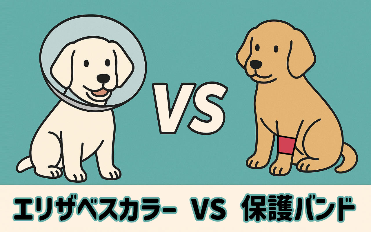 エリザベスカラーだけじゃない！保護バンドの選びかた_タイトル
